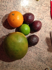 Coulis de fruits 'Exotique' - mangue, coco, passion, coriandre - L'Épicurien